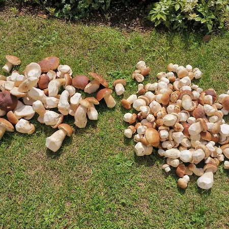 Apartment U Orla W Szklarskiej Porebie *