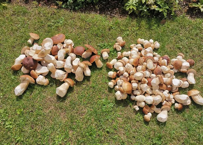 Apartment U Orla W Szklarskiej Porebie *