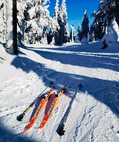 Lägenhet U Orla W Szklarskiej Porebie