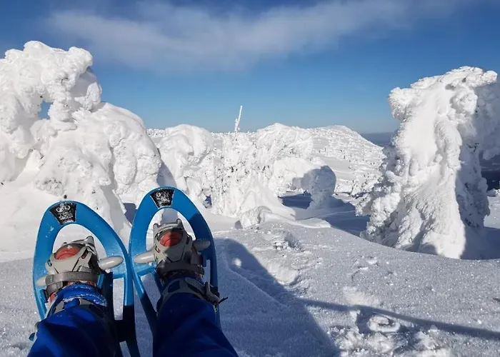 U Orla W Szklarskiej Porebie Lägenhet