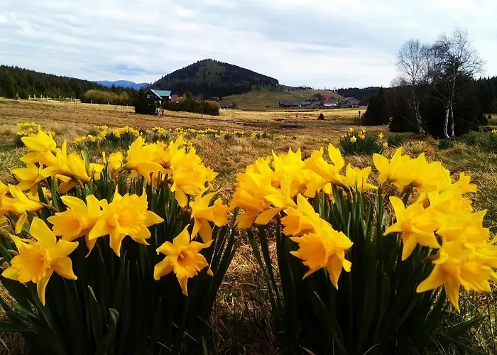 U Orla W Szklarskiej Porebie Szklarska Poręba