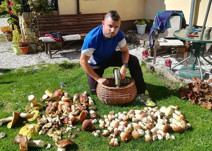 U Orla W Szklarskiej Porebie Lägenhet *